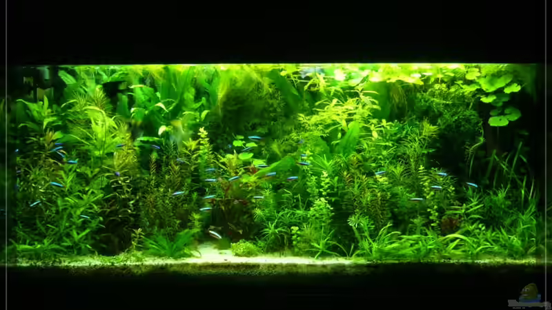 Die Front 14/02/10 Die Front 14/02/10