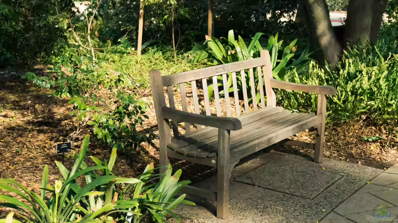 Die Gartenbank: Das solltest du vor dem Kauf bedenken