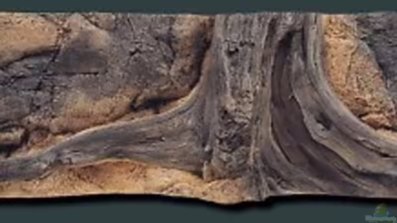 Die geplante Rückwand Die geplante Rückwand