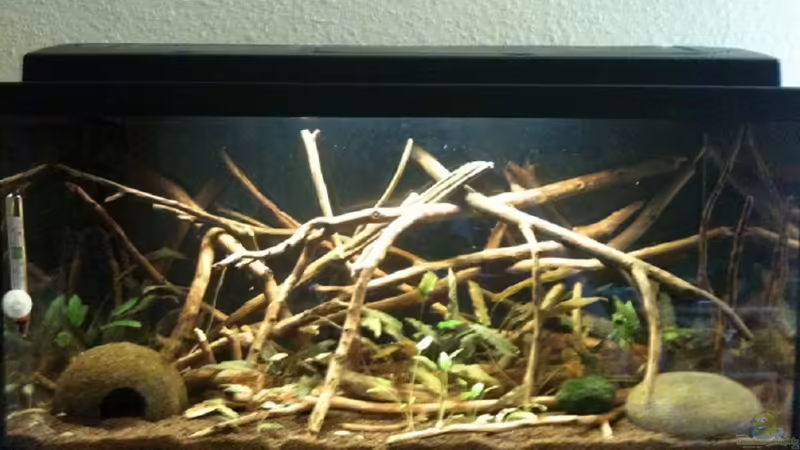 Die Gesamtansicht des Beckens Die Gesamtansicht des Beckens