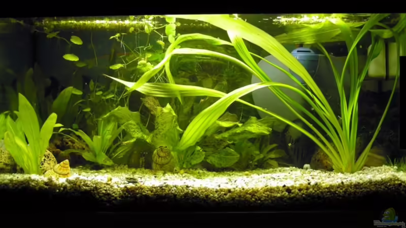 Die linke hintere Ecke ist nicht so dunkel wie es aussieht Die linke hintere Ecke ist nicht so dunkel wie es aussieht