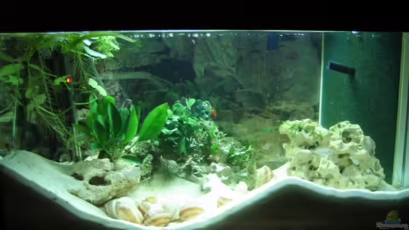 Die Multis sind noch flei??ig am Bauen Die Multis sind noch flei??ig am Bauen