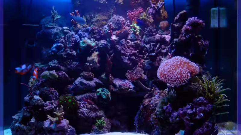 Die Oase der Entspannung Die Oase der Entspannung