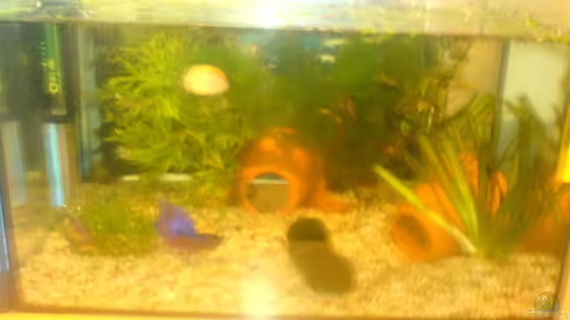 die qualität ist nicht die beste wird bald geändert versprochen die qualität ist nicht die beste wird bald geändert versprochen