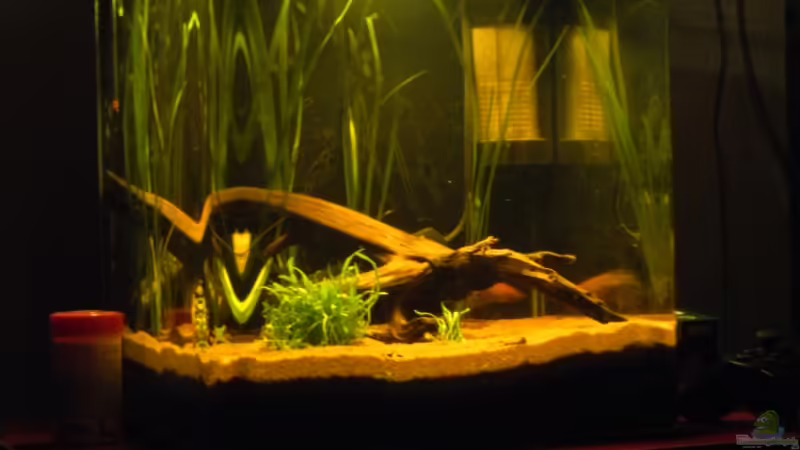 die sonne flutet das becken die sonne flutet das becken