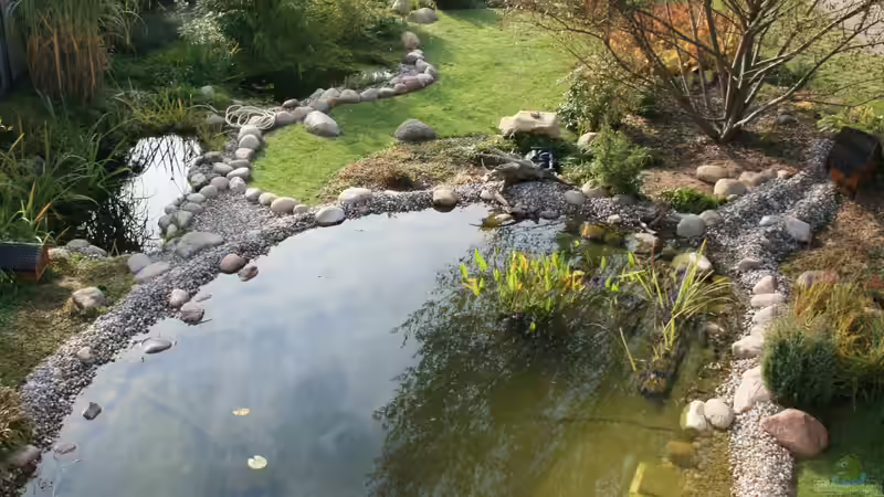 Die verschiedenen Zonen im Gartenteich – ein Leitfaden für Planung und Optimierung