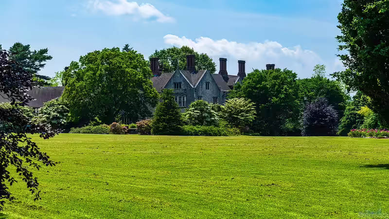 Die wichtigsten Pflegetipps für den Rasen - So bleibt dein Grün dauerhaft gesund und schön