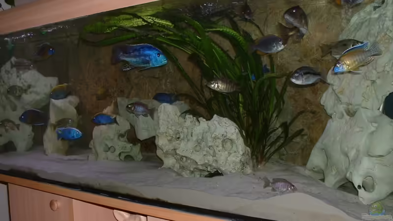 Die wilde Hilde... Die wilde Hilde...