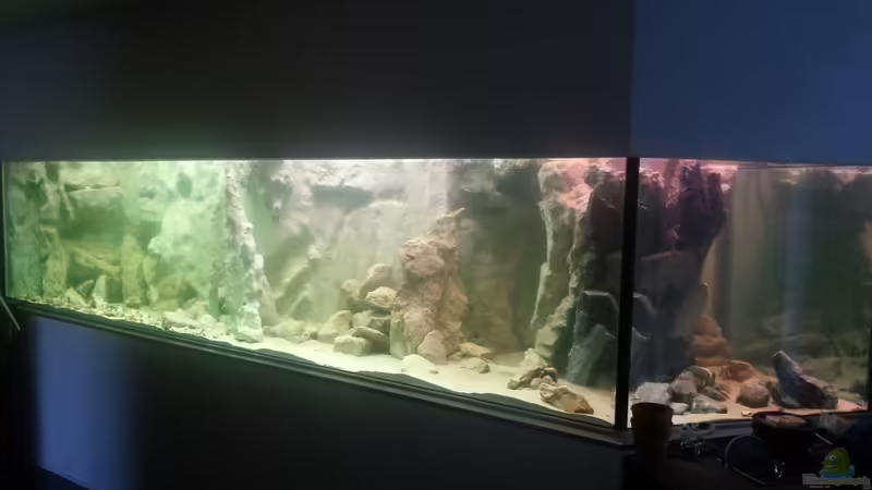 Direkt nach dem Befüllen Direkt nach dem Befüllen