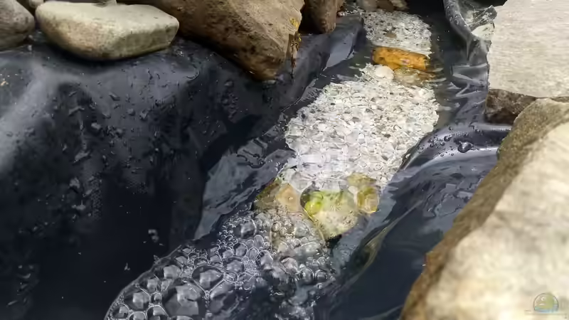 DIY: Einen Bachlauf im eigenen Garten anlegen