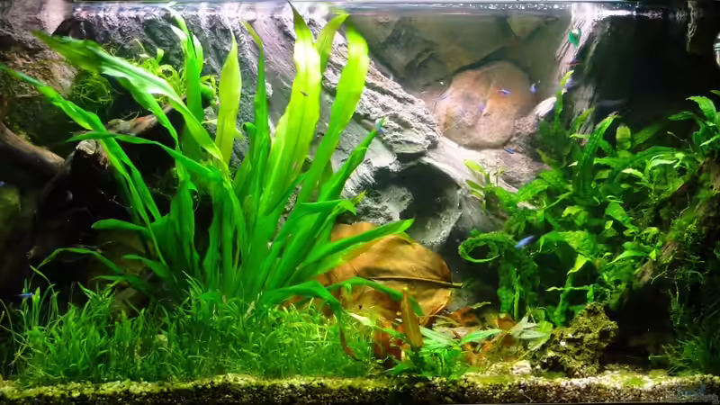 Draufsicht ;> Draufsicht ;>