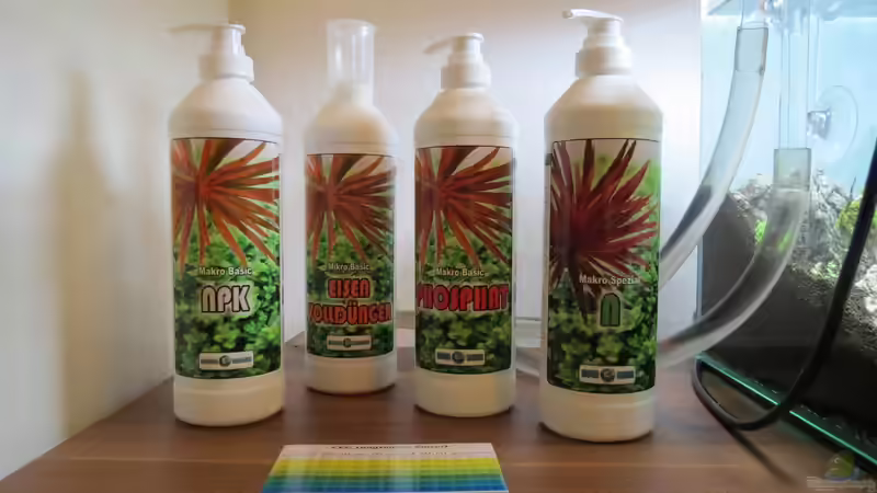Düngesysteme für Aquarienpflanzen - Ein umfassender Leitfaden für gesundes Pflanzenwachstum im Aquarium
