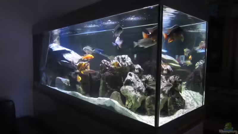 Dunzis Malawibecken Dunzis Malawibecken