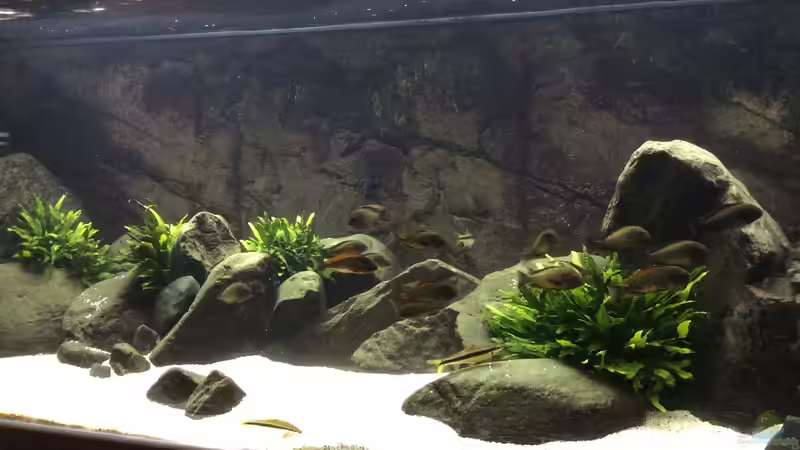 East of Africa East of Africa