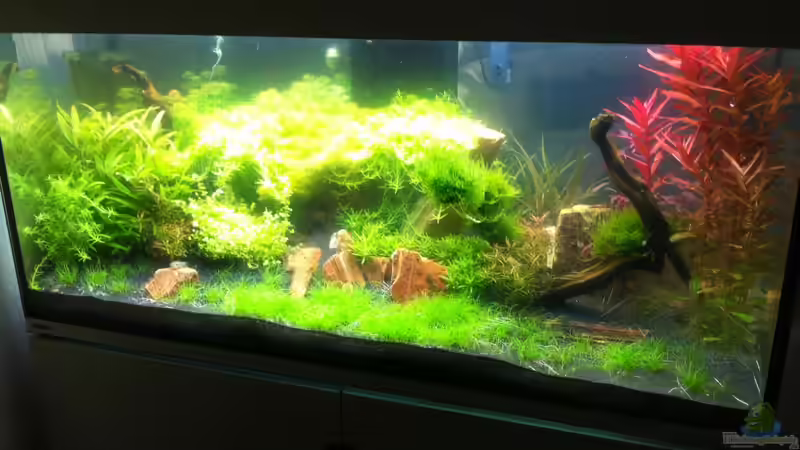 Eheim Incpiria 400 Eheim Incpiria 400