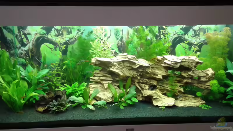 Ein neuer Anfang. Ein neuer Anfang.