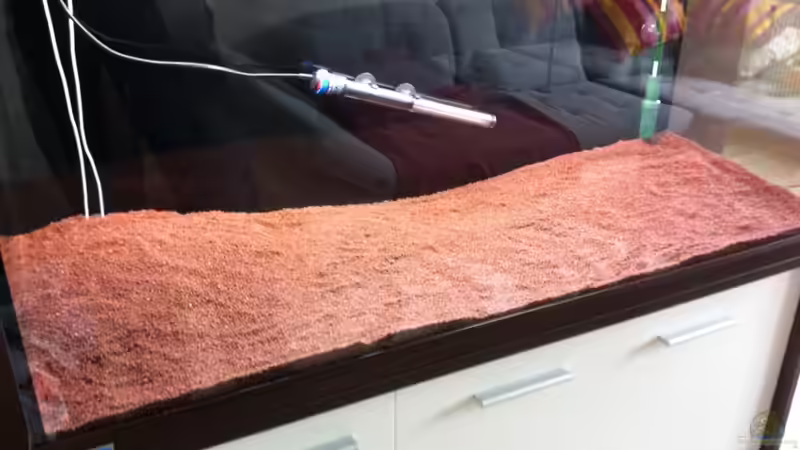 Ein Neustart im Aquarium: Der Komplettwechsel des Bodengrunds
