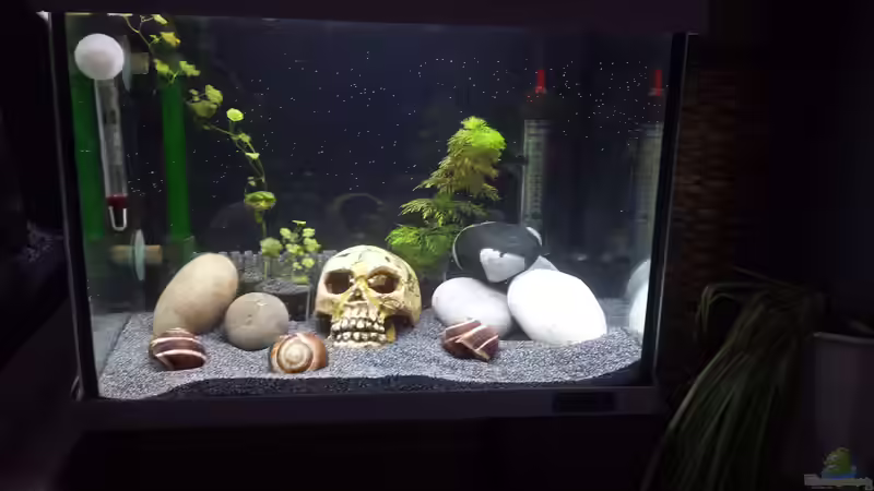 Ein wenig Deko Ein wenig Deko