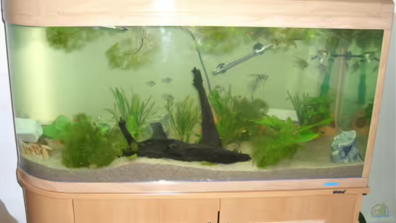 Ein Wunderschönes Becken von der form Ein Wunderschönes Becken von der form