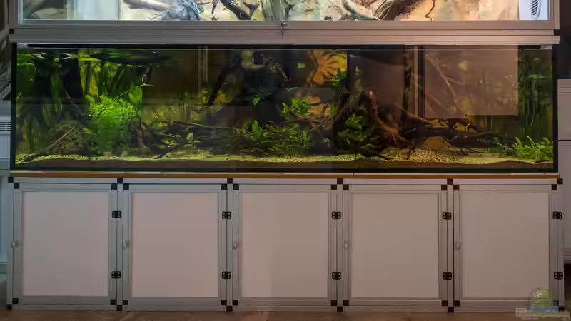 Einrichten mit Kreditkarte – Auf was muss geachtet werden?