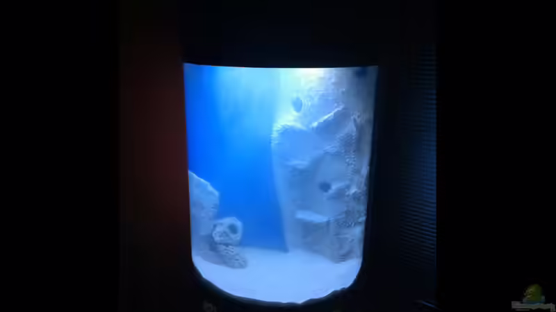 Einrichtung Einrichtung