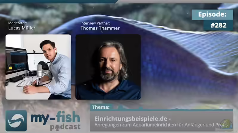 Einrichtungsbeispiele.de im my-fish.org-Podcast