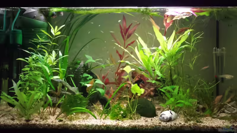 Endlers Wohnzimmer Endlers Wohnzimmer