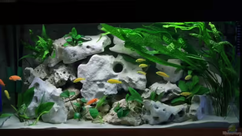 Endlich Fertig Endlich Fertig