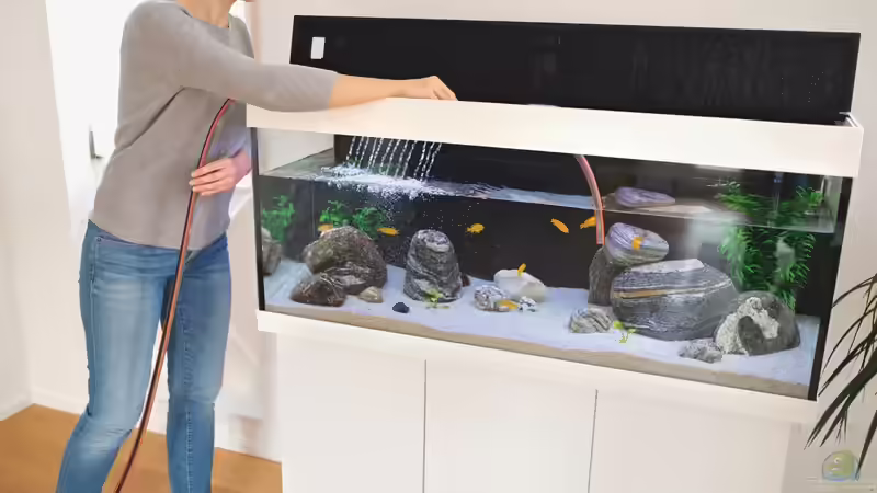 Energieeffiziente Aquarium- und Teichheizung: Unterschiede, Vorteile und Auswahlkriterien