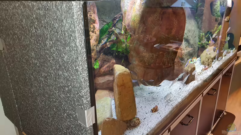 Energiekosten explodieren - Strom sparen auch als Aquarianer?