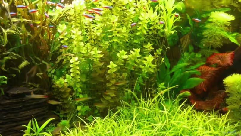 Epp Christian Epp Christian