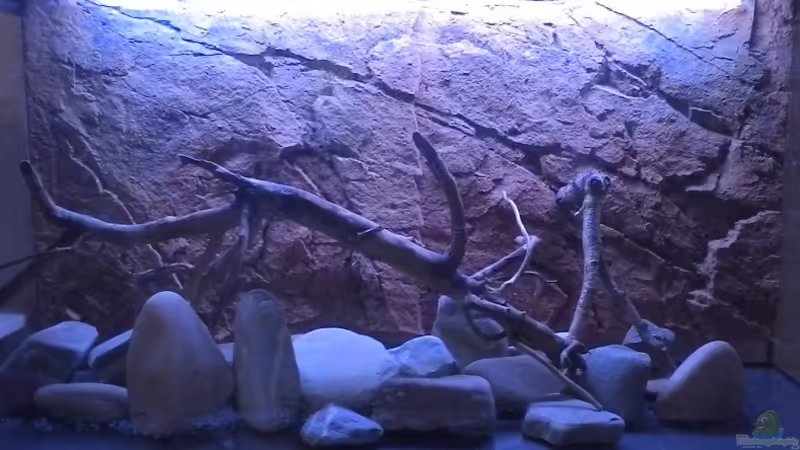 Erste ??berlegungen zur Geestaltung am 11.01.2015 Erste ??berlegungen zur Geestaltung am 11.01.2015