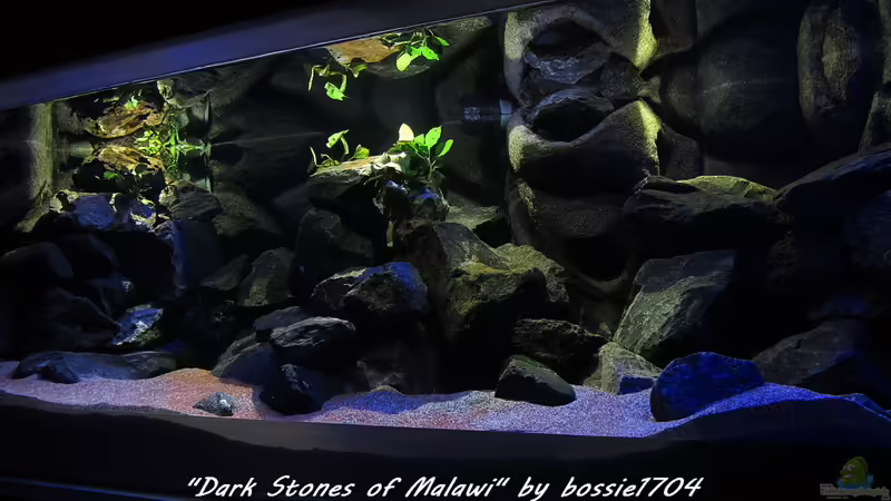 Es war einmal... Es war einmal...