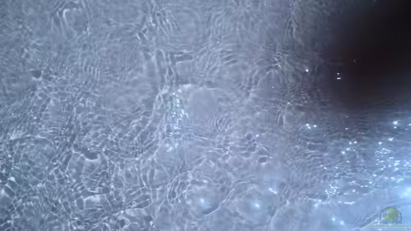 Exclusiv für EB von Aquascape-Guru: Wasserwerte ??? Eckdaten zum Aquarienwasser