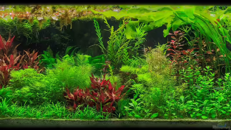 Farbträume 2.0 Farbträume 2.0