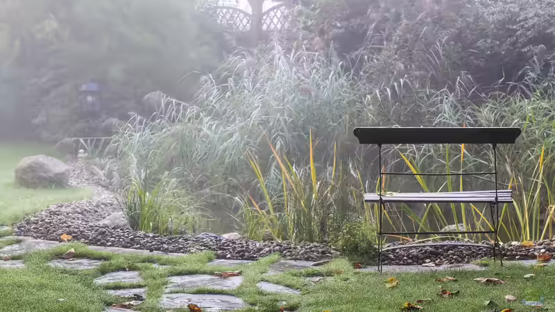Faustregel für den Herbst: Unter Wasser raus, über Wasser bleibt