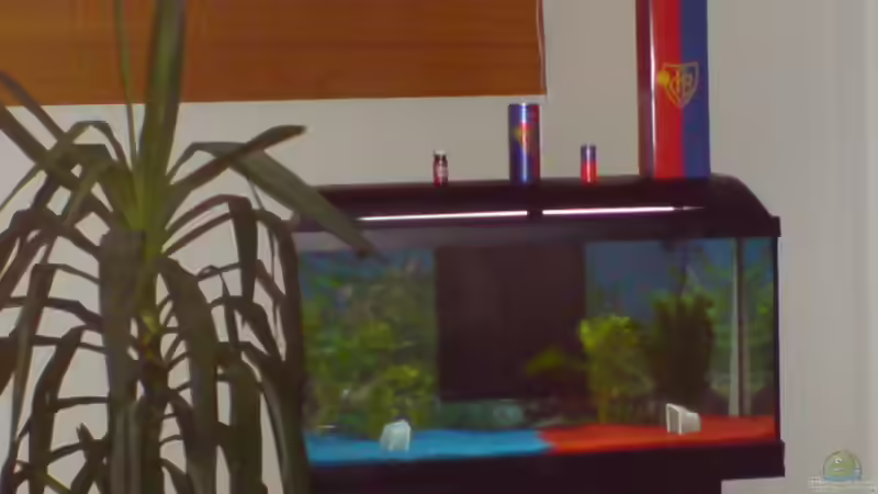 FCBASEL AQUARIUM FCBASEL AQUARIUM