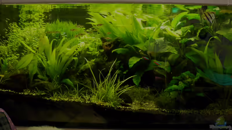 Februar 2014 Februar 2014