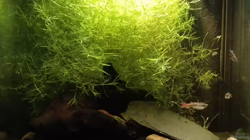 Februar 2020 Februar 2020