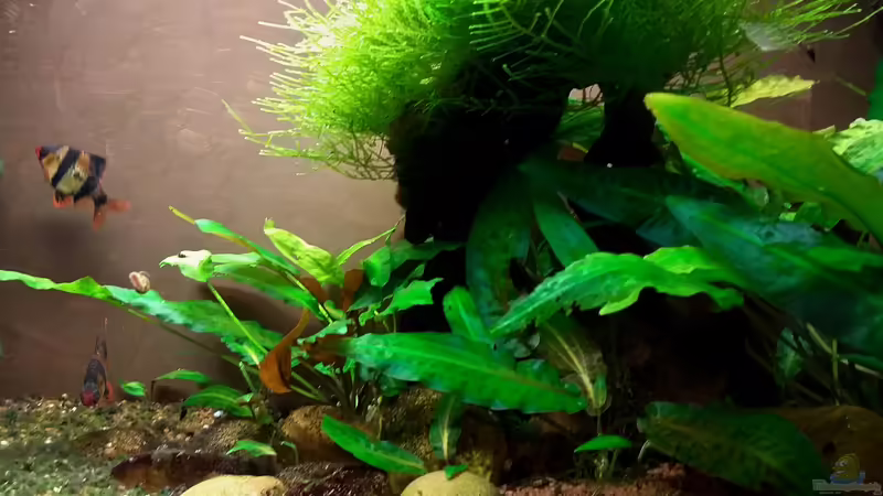 Februar 2024 Februar 2024