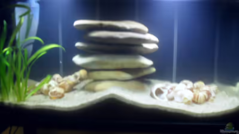 Fertig eingerichtet Fertig eingerichtet