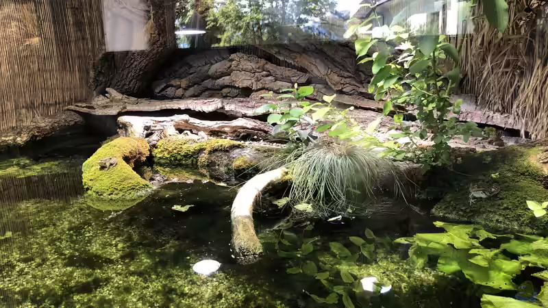 Feuchtgebiete im Alpenzoo Innsbruck Teil 2/2