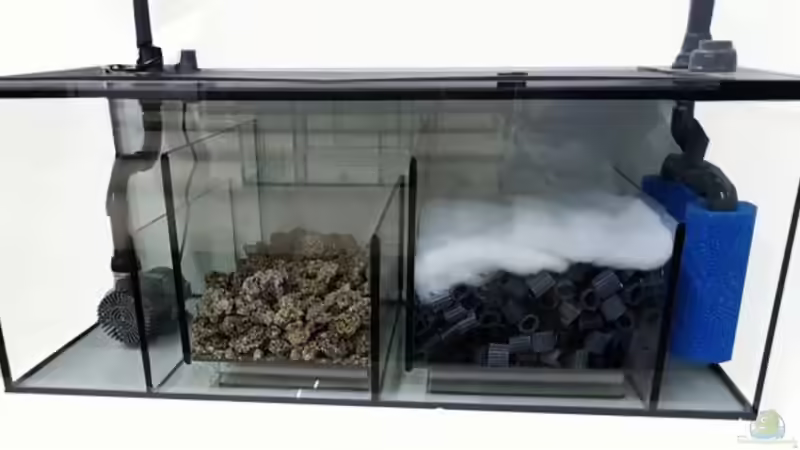 Filterbecken vom Profi: Bio-Plus Außenfiltersystem