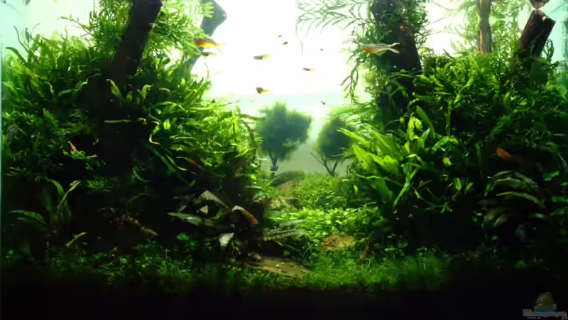 Finalshot September 2011 Finalshot September 2011