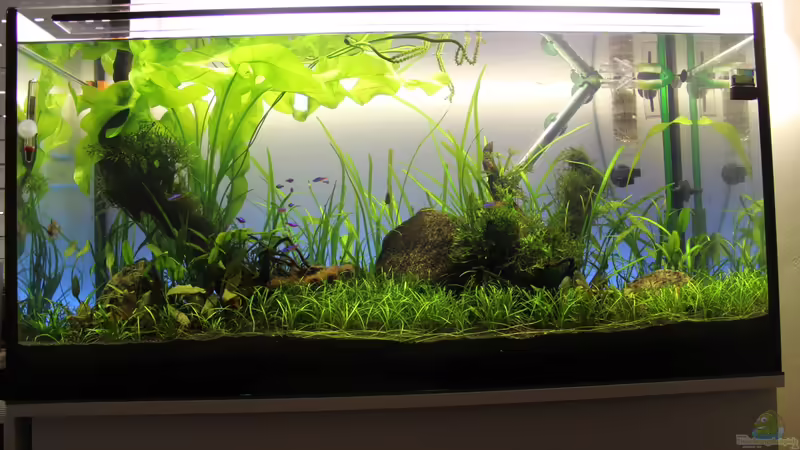 First Try - 28-7-2013 First Try - 28-7-2013