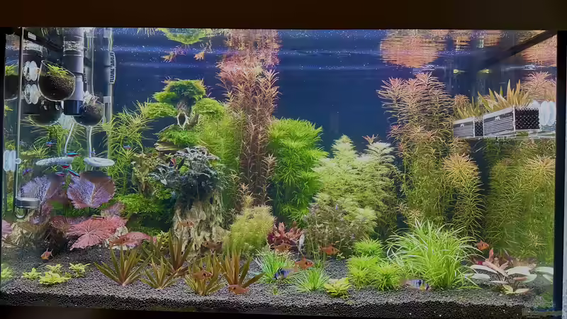 Fluval Siera 275 Fluval Siera 275