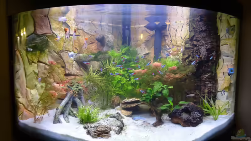 Fluval Venezia 190 Fluval Venezia 190