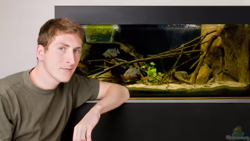 Foto by www.facebook.com/AufmDachFotografie Foto by www.facebook.com/AufmDachFotografie