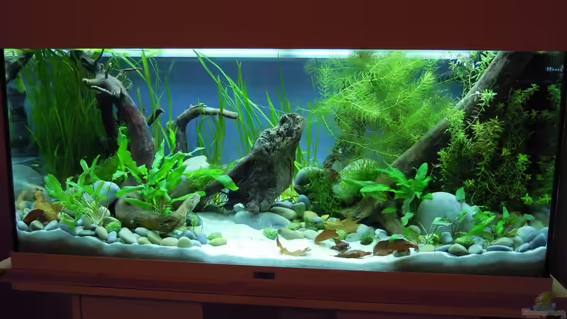 Frisch eingerichtet - 15.04.2012 Frisch eingerichtet - 15.04.2012