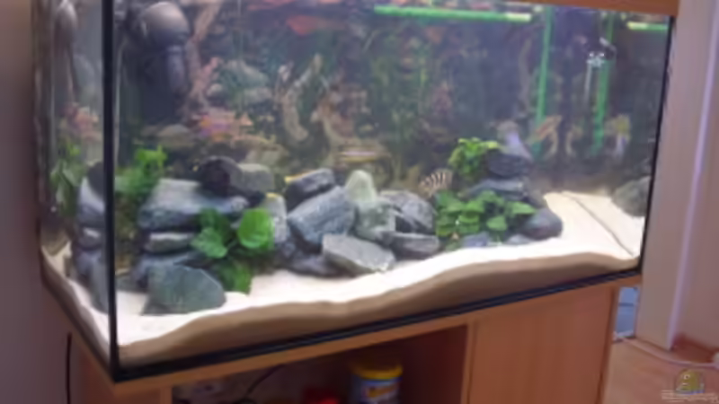 Front 22.4.2008 Front 22.4.2008